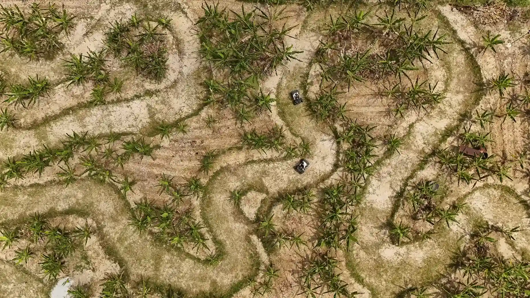 Aerial ATV trail at Suka Camping