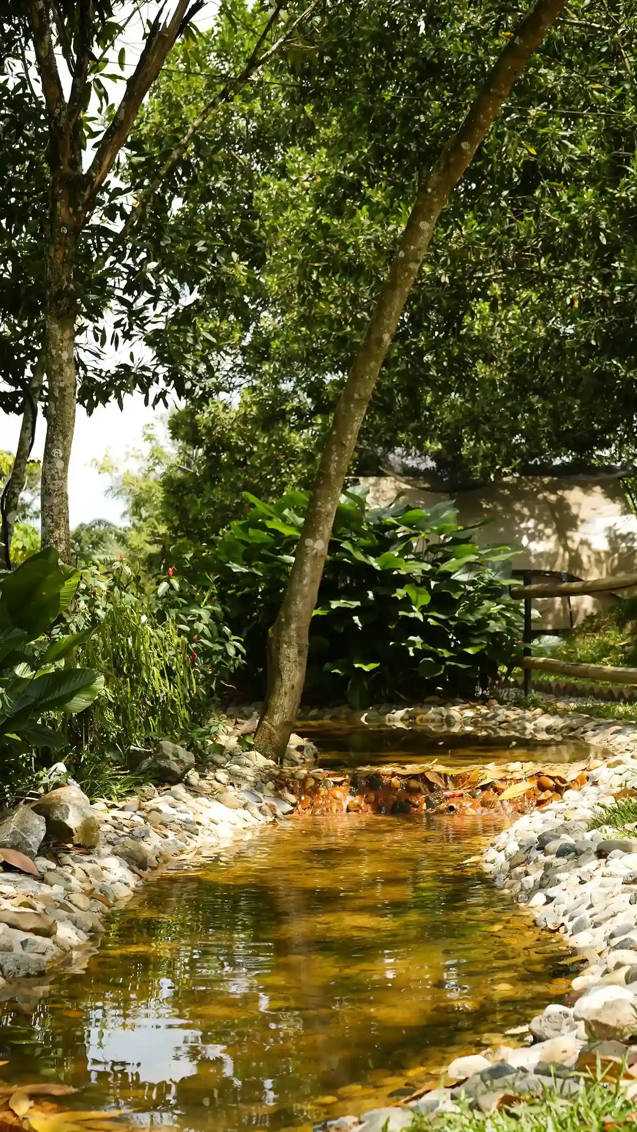 Small river stream at Suka Camping